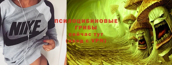 хмурый Алзамай