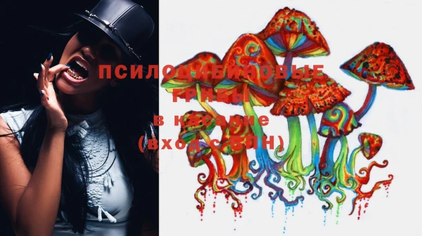 дурь Абаза