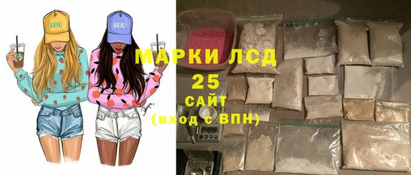хмурый Алзамай