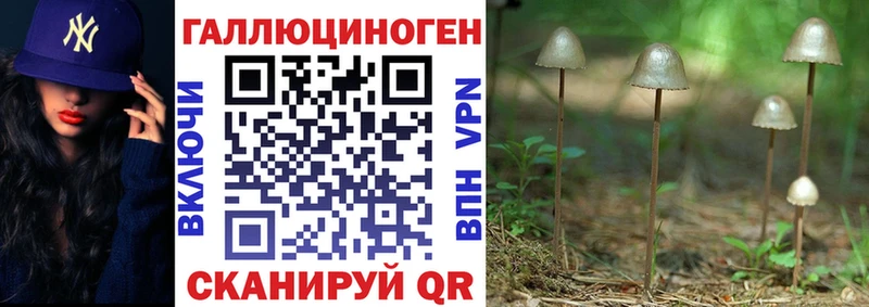 хочу наркоту  Абдулино  Псилоцибиновые грибы Psilocybine cubensis 